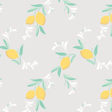 Load image into Gallery viewer, Two-Piece Set in Citrus Gray
